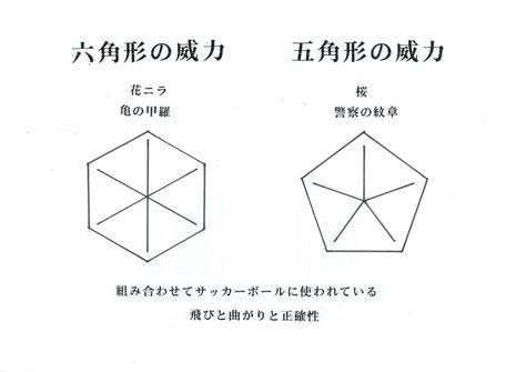 六角形 風水|六角形が持つスピリチュアルな力とその深い意味を徹底解説！｜